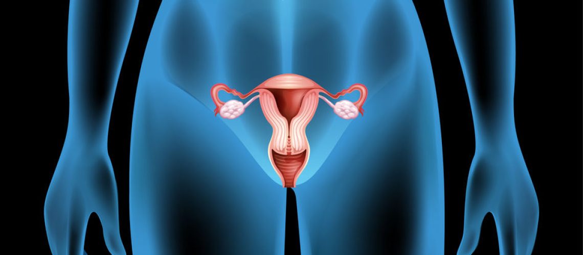 câncer de endométrio