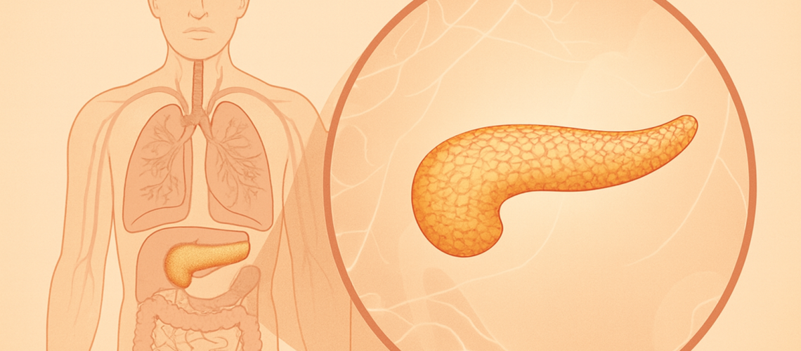 Câncer de Pâncreas em Homens_ Fatores de Risco e Estratégias de Prevenção para Reduzir a Incidência