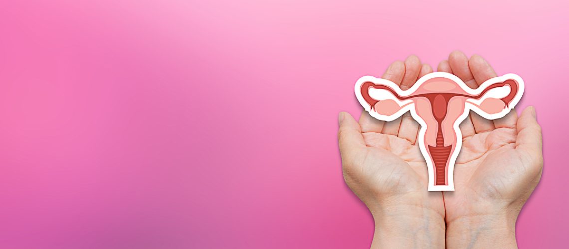 Female reproductive system. Hands holding uterus.