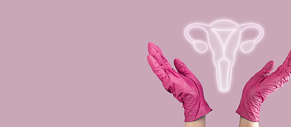 Womb, female genital reproductive system. Banner background.