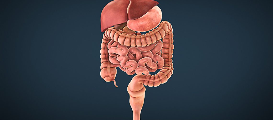 Tumores digestivos Tudo que você precisa saber
